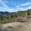 The trail continues onto the Donner Lake Rim trail (or just turn around like we did)