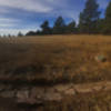 Sunlight on the stone trail