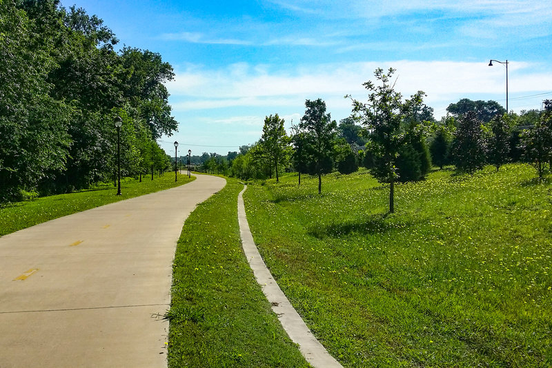 Wildflowers abound along the Flag Pole Hill Trail