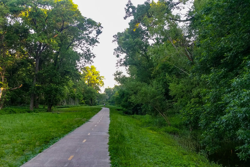 The trail is surrounded by lush vegetation that provides great shade for your traverse of White Rock Creek.