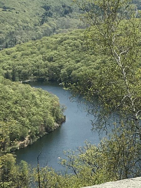 View of Turkey Lake