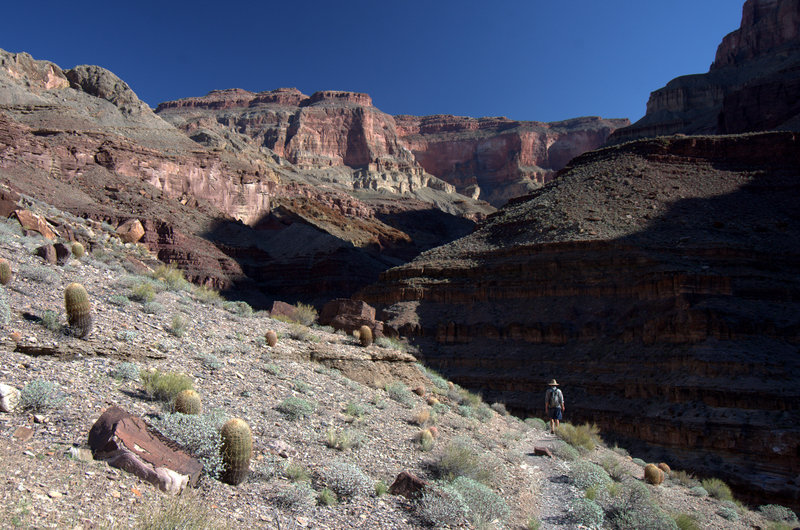 Entering the upper Tapeats Creek drainage