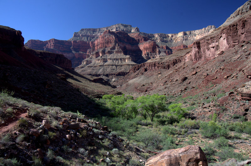 Upper Tapeats Creek