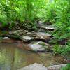 The lower two-thirds of the Blue Trail runs along, around and through a creek. Use caution. Footing can be slippery in wet conditions.