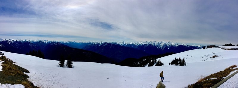 The top of Hurricane Ridge covered in snow.