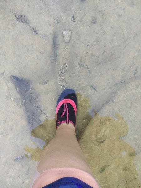 Standing in dinosaur footprints at the "ballroom"!