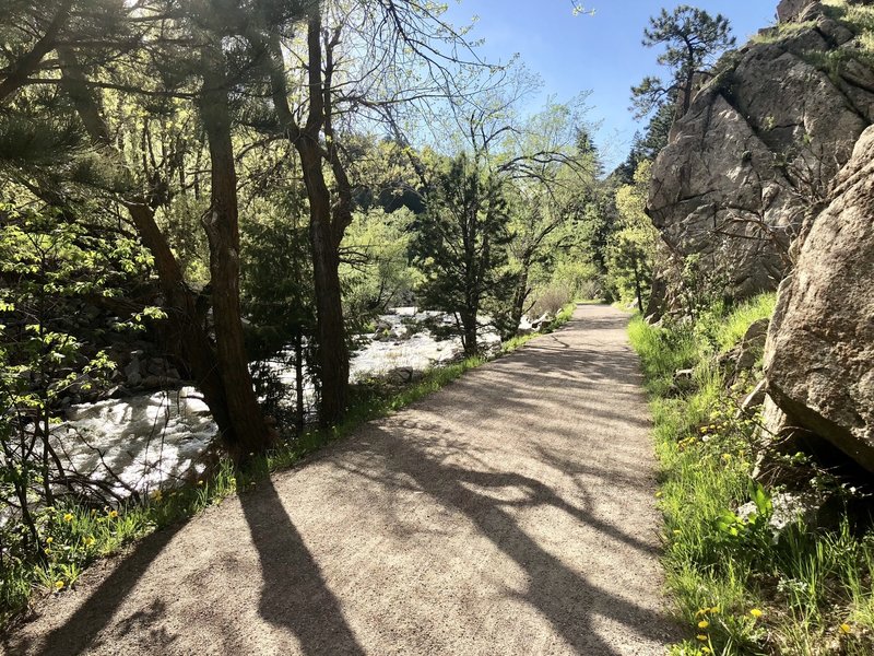 Beautiful path in Boulder Canyon