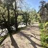 Beautiful path in Boulder Canyon