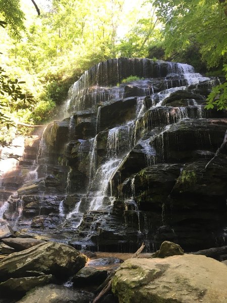 Yellow Branch Falls