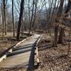 Wetland boardwalk