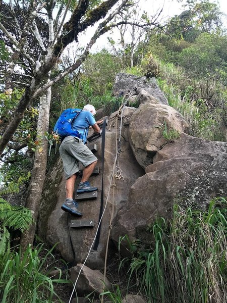 Steps over the boulder