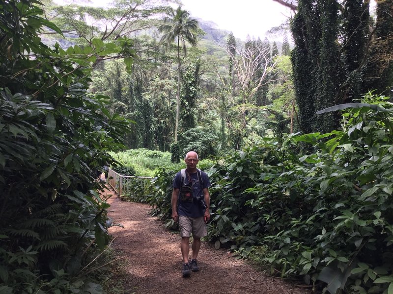 On the trail to the waterfall