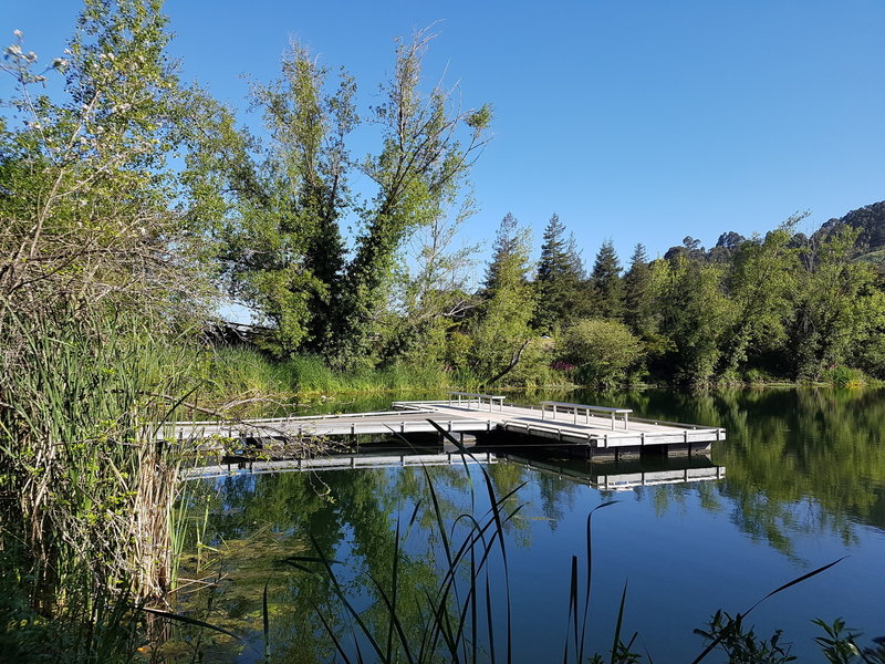 Fishing pier on the lake