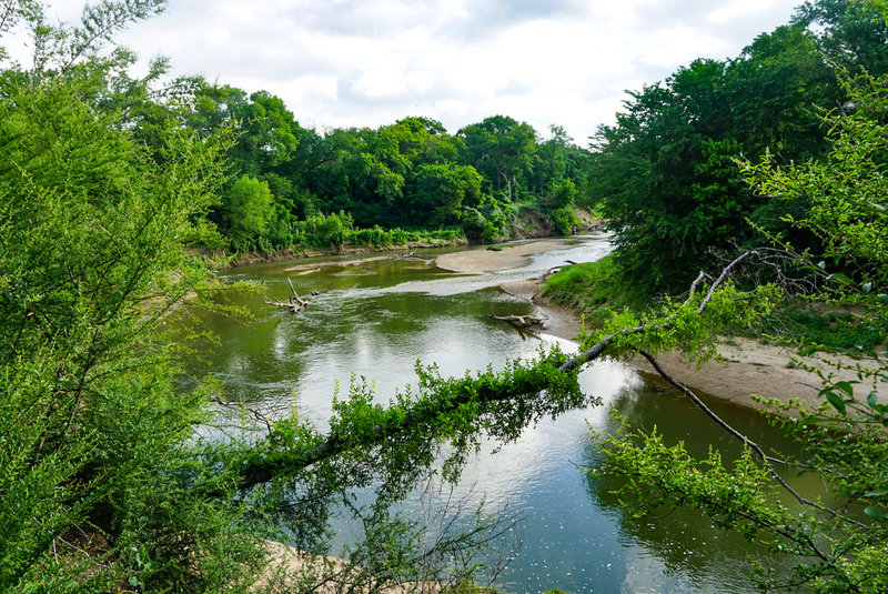 Another great vantage point along the Trinity River.