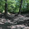 Scioto River banks on the REI trail