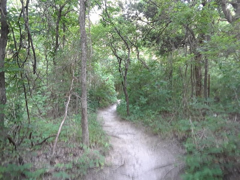 Looking up the trail.