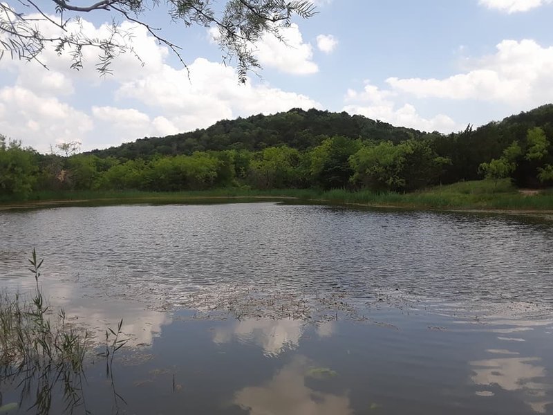 Beautiful picture of the Cattail Pond.