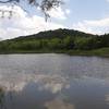 Beautiful picture of the Cattail Pond.