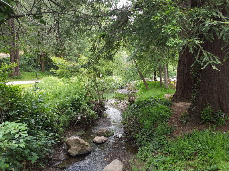 Stream that feeds Lake Temescal