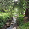 Stream that feeds Lake Temescal