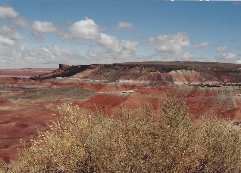 View of the Painted Desert