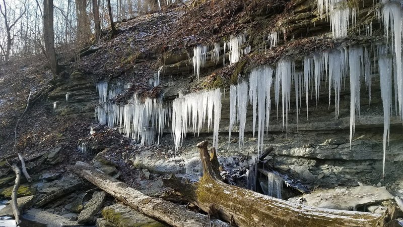 In the creek valley.