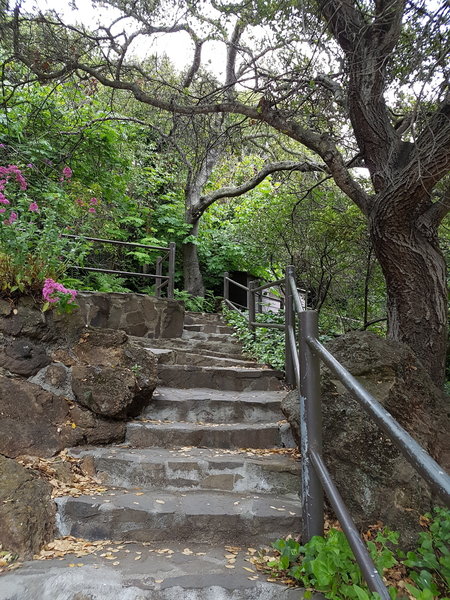 Stairs up to the Beach House, gardens, and man-made waterfall