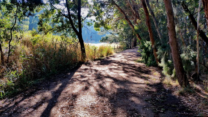 The Wallaby Track just northeast of Ballarat.