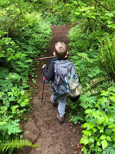 4 year old Colton loved hiking in this area!