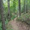 Lake Loop Trail after boat ramp area