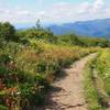 Silver Star Mountain