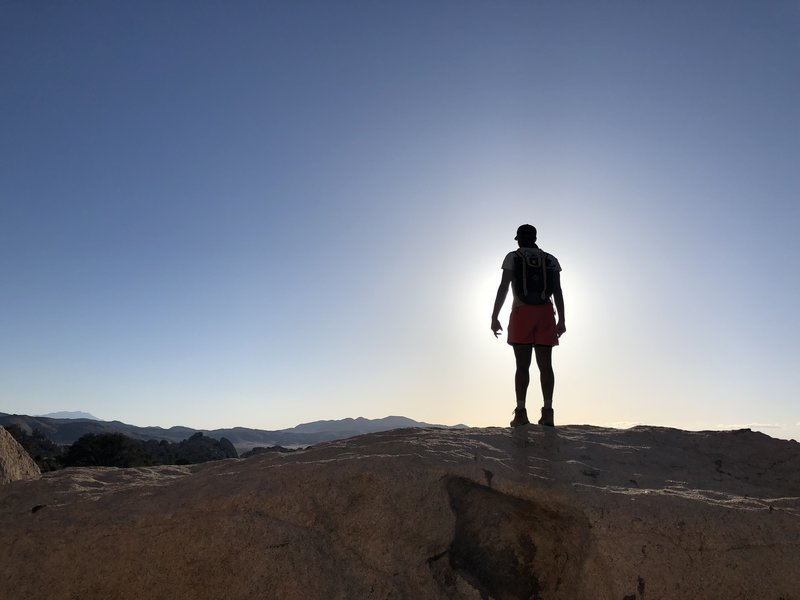 Ryan Mountain - Joshua Tree National Park