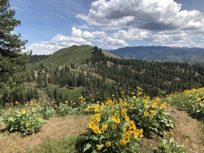 Bald Mountain in the distance from the end of the official trail.