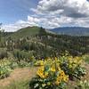 Bald Mountain in the distance from the end of the official trail.