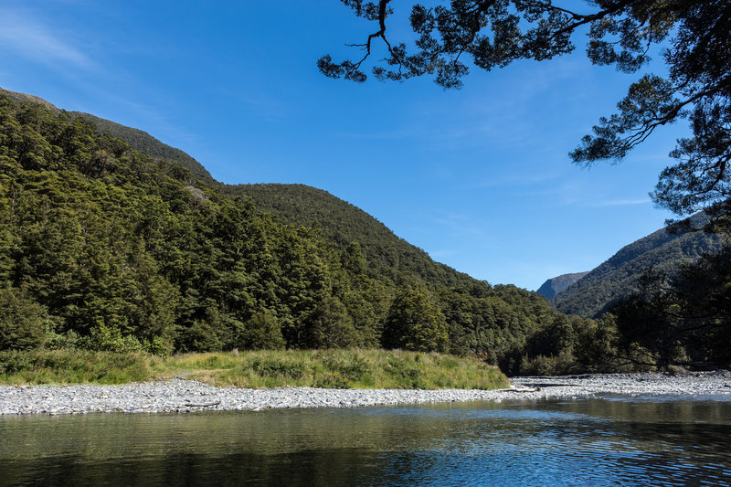 Haast River from the east bank