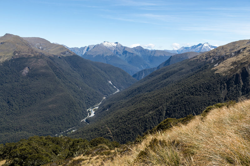 Mount Aspiring National Park from above the bushline on Brewster Track