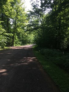 Pavement on the Fitness Trail