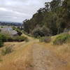 Connector trail between Don Castro and Five Canyons