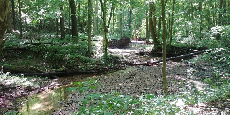 Creek running along the southwest leg of the North Loop