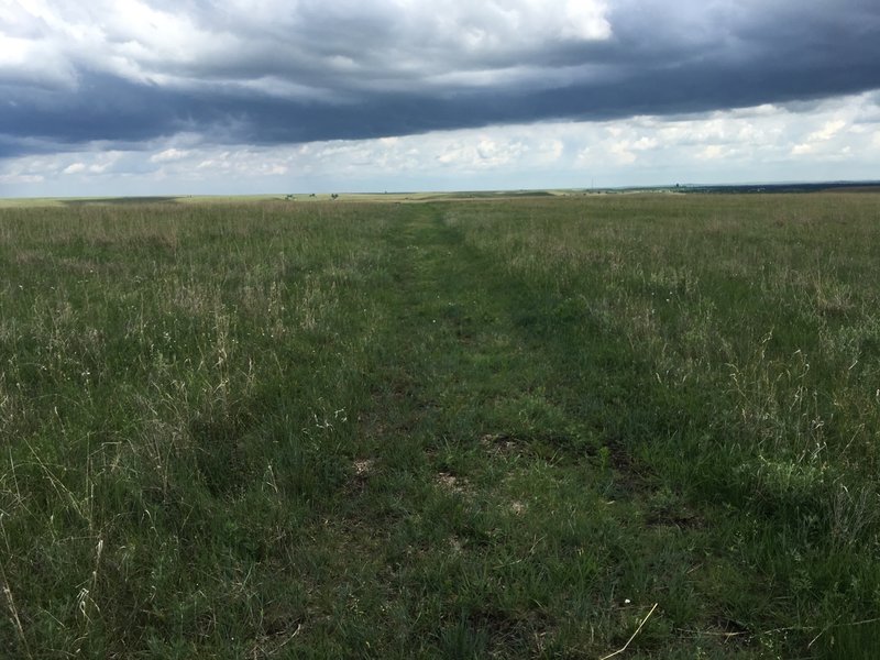 Mowed ranch road ruts that make up most of the Ranch Legacy Trail.