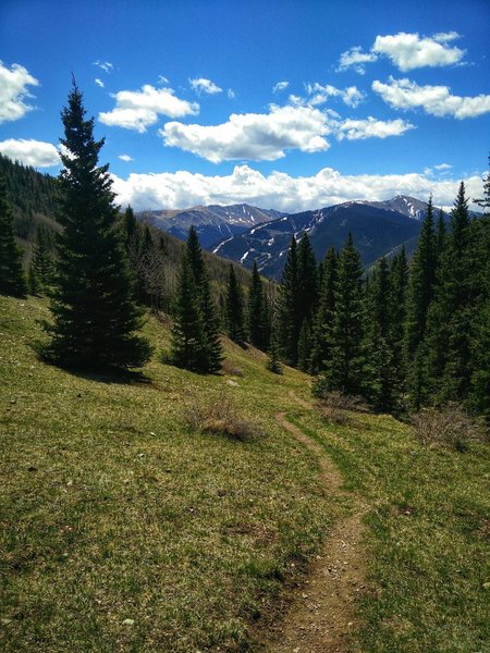 Gavilan Trail on the way back as it descends through the meadow