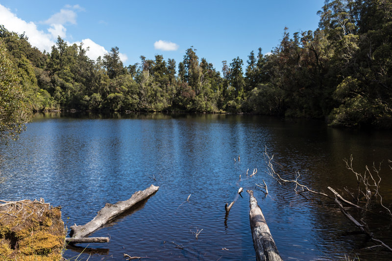 Lake Wombat