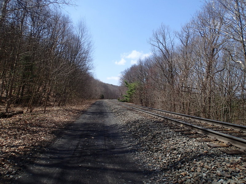 Breif walk along the tracks