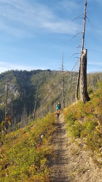 Eastbound on the Peace Creek Trail. This was taken in Aug '17 - before the eclipse.