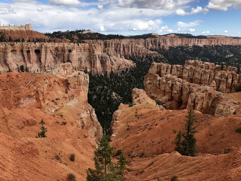 Descending into the canyon, amongst the hoodoos