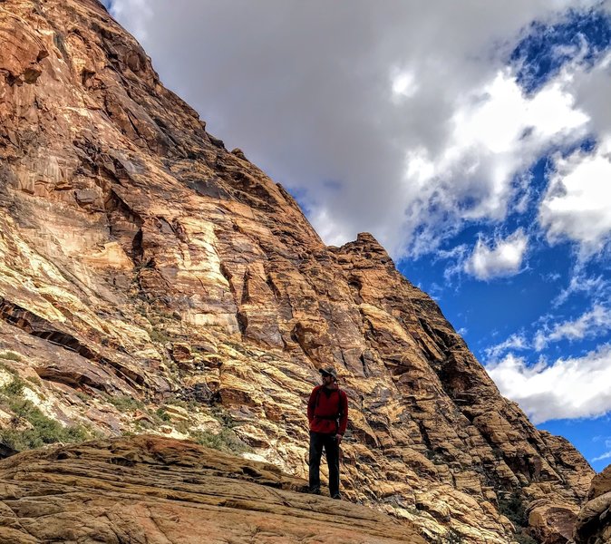 Crisp blue skies contrasted by the pink rock