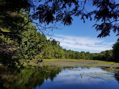 Beebe lake