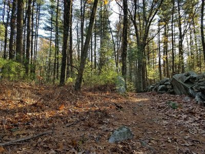 Trail