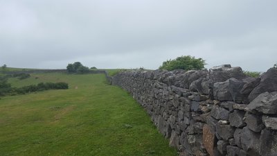 Near King's Wood in Axebridge