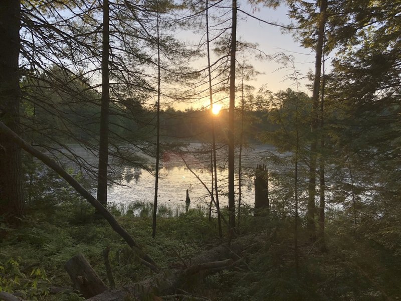 Sunrise over a beaver pond